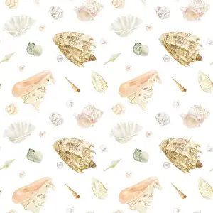 Oyster Prints: Strombus clam shells, cornuta cassis