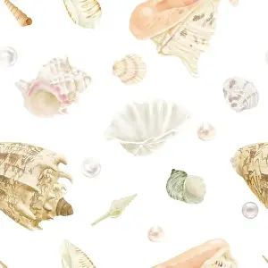 Oyster Prints: Strombus clam shells, cornuta cassis