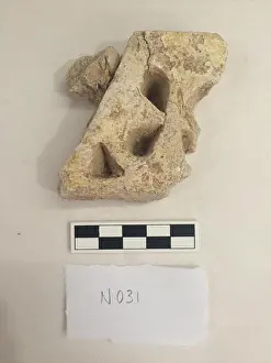 Stucco Prints: This stucco fragment, likely from the 8th to 12th century