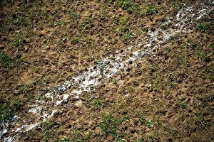 White Line Prints: Stud marks on white line on muddy sports pitch