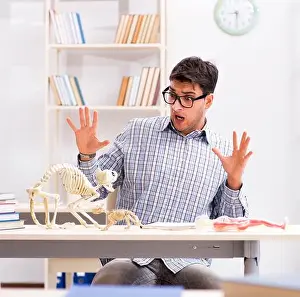 Teacher Prints: Student doctor studying animal skeleton