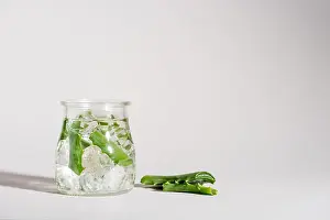 Skincare Prints: Studio shot of glass jar containing aloe vera leaves and ice