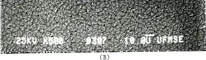Stability Prints: This study examines the deposition