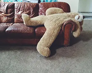 Imitation Prints: Stuffed teddy bear laying on couch
