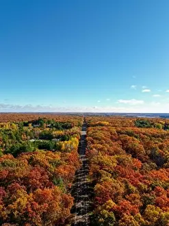 Winding Road Prints: A stunning aerial view of a peaceful road stretching through a forest ablaze with vibrant autumn colors