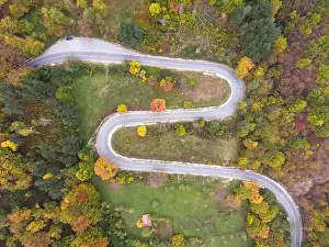 Forest Highway Prints: Stunning aerial view of road with curves crossing dense forest in autumn colors in Bulgaria