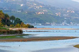 Stunning coastal scene at Malibu Lagoon in California featuring palm trees