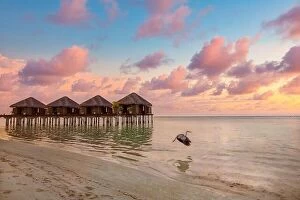 Images Dated 13th December 2018: Stunning colorful sunset sky with clouds seaside horizon. Over water villas in Maldives with