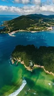 Water Forest Prints: Stunning drone-captured image showcasing the vibrant green landscapes