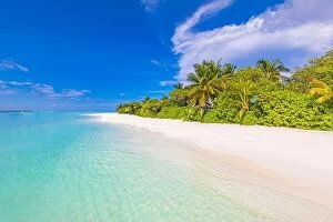 Images Dated 24th May 2019: Stunning paradise beach. Tropical landscape of summer island scenery white sand palm trees
