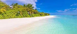 Beach Landscape Prints: Stunning paradise beach. Tropical landscape of summer island scenery white sand palm trees