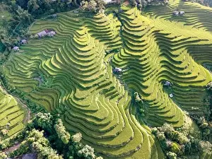 See the stunning scenery of rice terraces during the ripe rice season in Thong Nguyen commune