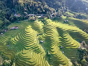 Ha Giang Prints: See the stunning scenery of rice terraces during the ripe rice season in Thong Nguyen commune