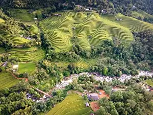 Ha Giang Prints: See the stunning scenery of rice terraces during the ripe rice season in Thong Nguyen commune