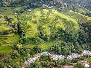 Ha Giang Prints: See the stunning scenery of rice terraces during the ripe rice season in Thong Nguyen commune