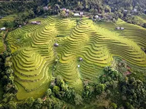 Ha Giang Prints: See the stunning scenery of rice terraces during the ripe rice season in Thong Nguyen commune