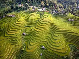 Ha Giang Prints: See the stunning scenery of rice terraces during the ripe rice season in Thong Nguyen commune