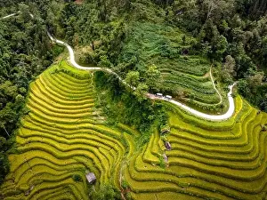 Ha Giang Prints: See the stunning scenery of rice terraces during the ripe rice season in Thong Nguyen commune