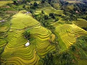 Ha Giang Prints: See the stunning scenery of rice terraces during the ripe rice season in Thong Nguyen commune