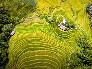 Ha Giang Prints: See the stunning scenery of rice terraces during the ripe rice season in Thong Nguyen commune