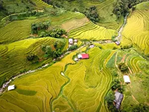 Ha Giang Prints: See the stunning scenery of rice terraces during the ripe rice season in Thong Nguyen commune