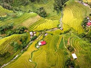Ha Giang Prints: See the stunning scenery of rice terraces during the ripe rice season in Thong Nguyen commune