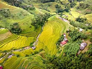 See the stunning scenery of rice terraces during the ripe rice season in Thong Nguyen commune