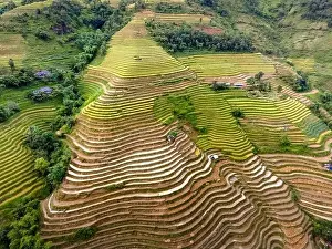 Ha Giang Prints: See the stunning scenery of rice terraces during the ripe rice season in Thong Nguyen commune