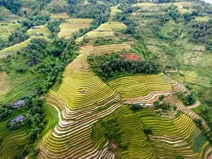 Ha Giang Prints: See the stunning scenery of rice terraces during the ripe rice season in Thong Nguyen commune