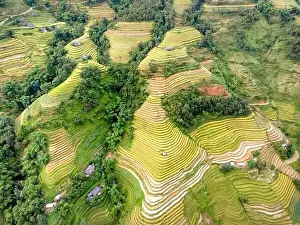 Ha Giang Prints: See the stunning scenery of rice terraces during the ripe rice season in Thong Nguyen commune
