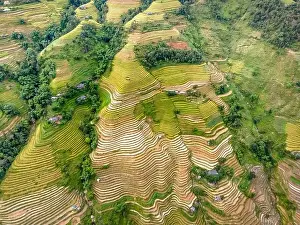 Ha Giang Prints: See the stunning scenery of rice terraces during the ripe rice season in Thong Nguyen commune