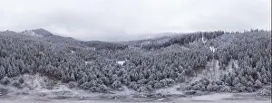Mountain White Prints: Stunning ski panorama of white snowy cliffs with trees covered in dense fog on a cold winter morning