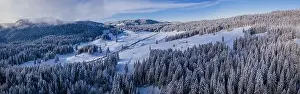 Evergreen Tree Prints: Stunning winter scene landscape of snow covered trees and forest as a road cuts through the landscape