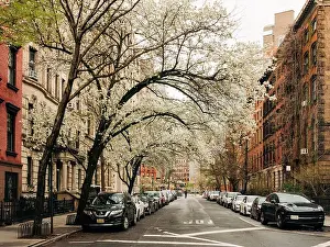 East Village Prints: Stuyvesant Street in the spring, in the East Village, Manhattan, New York City