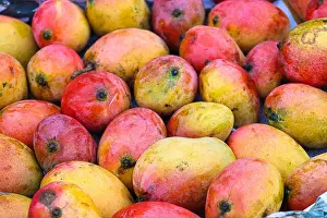 Peaches Prints: stylish ripe mango stock on shop for sell