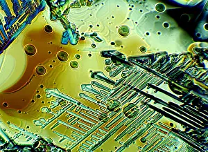 Photomicrograph Prints: Subliming naphthalene and hexachlorethane crystals from mixture in ethanolic solution X200