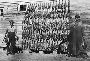 Unlimited Prints: A successful duck hunt, ca. 1935