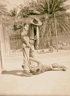 1936 Prints: Sudan. Khartoum. Khartoum Zoo. Major Barker