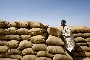 Adult Only Prints: Sudanese unloads a truck full of sacks of field beans in the Sahara, Sudan