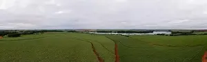 Sugarcane plantation near the Tiete River - dorne view