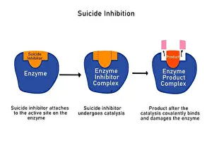 Labelled Prints: Suicide inhibition in enzymes, illustration