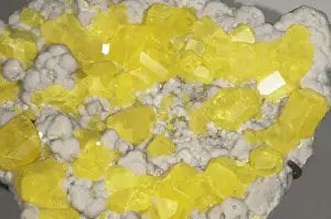 Crystals Prints: Sulfur crystals yellow on calcite Specimen from Italy