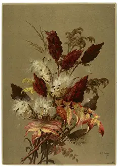 Naturalist Prints: Sumac and Milk-weed by Ellen Thayer Fisher is a botanical painting showcasing the detailed