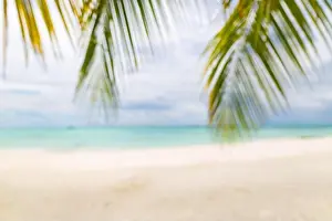 Summer exotic sandy beach with blur palms and sea on background. Dream vacation background with palm leaves and sea view. Summer paradise island beach