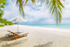 Summer exotic sandy beach with blur palms and sea on background. Dream vacation background with palm leaves and sea view. Summer paradise island beach
