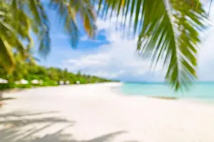 Summer exotic sandy beach with blur palms and sea on background. Dream vacation background with palm leaves and sea view. Summer paradise island beach