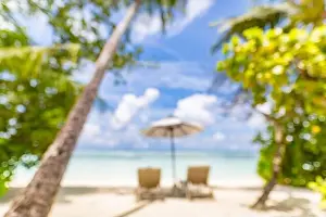 Summer exotic sandy beach with blur palms and sea on background