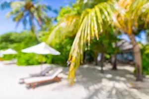Summer exotic sandy beach with blur palms and sea on background