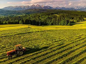 Summer Haymaking in Rural Countrysidde in High Tatras in Poland