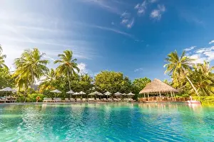 Summer outdoor tourism landscape. Luxurious beach resort with swimming pool and beach chairs or loungers under umbrellas with palm trees and blue sky